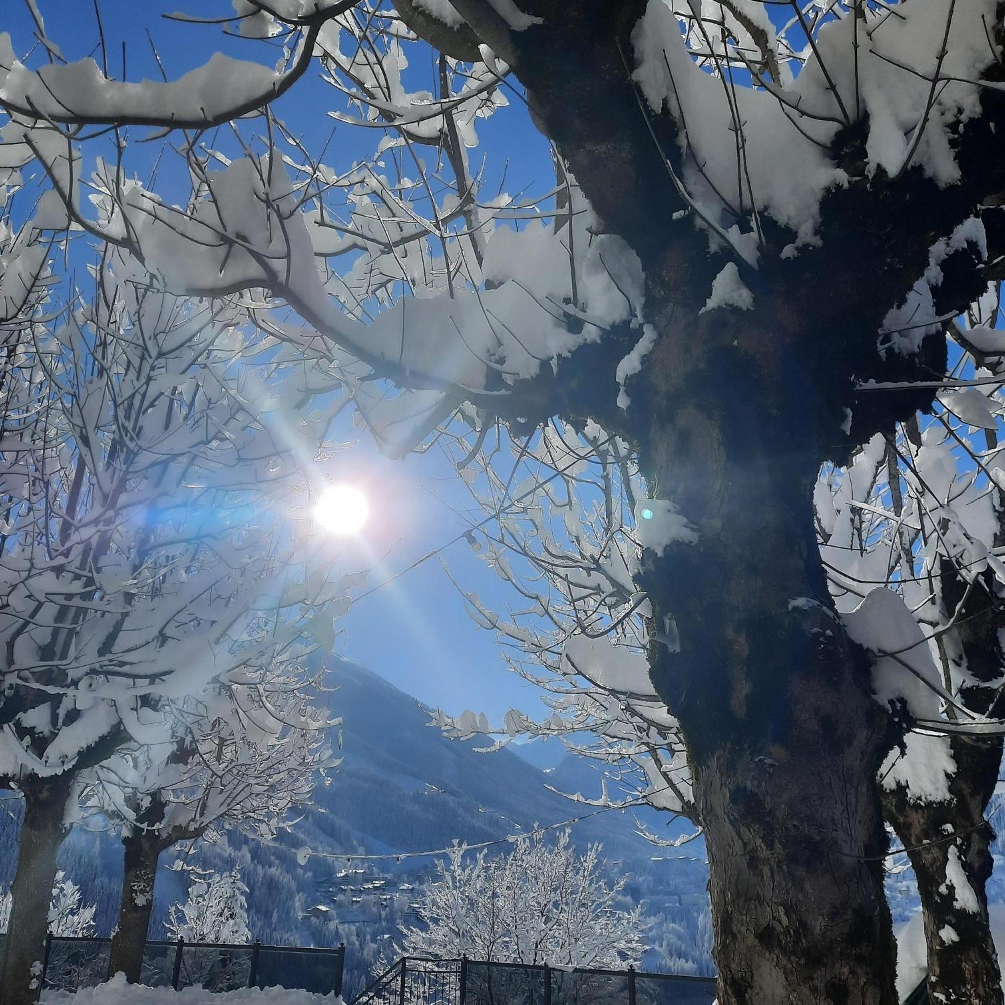 Gasthof Appartements Gamskar Bad Gastein Bagian luar foto
